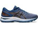 Asics Nimbus 22