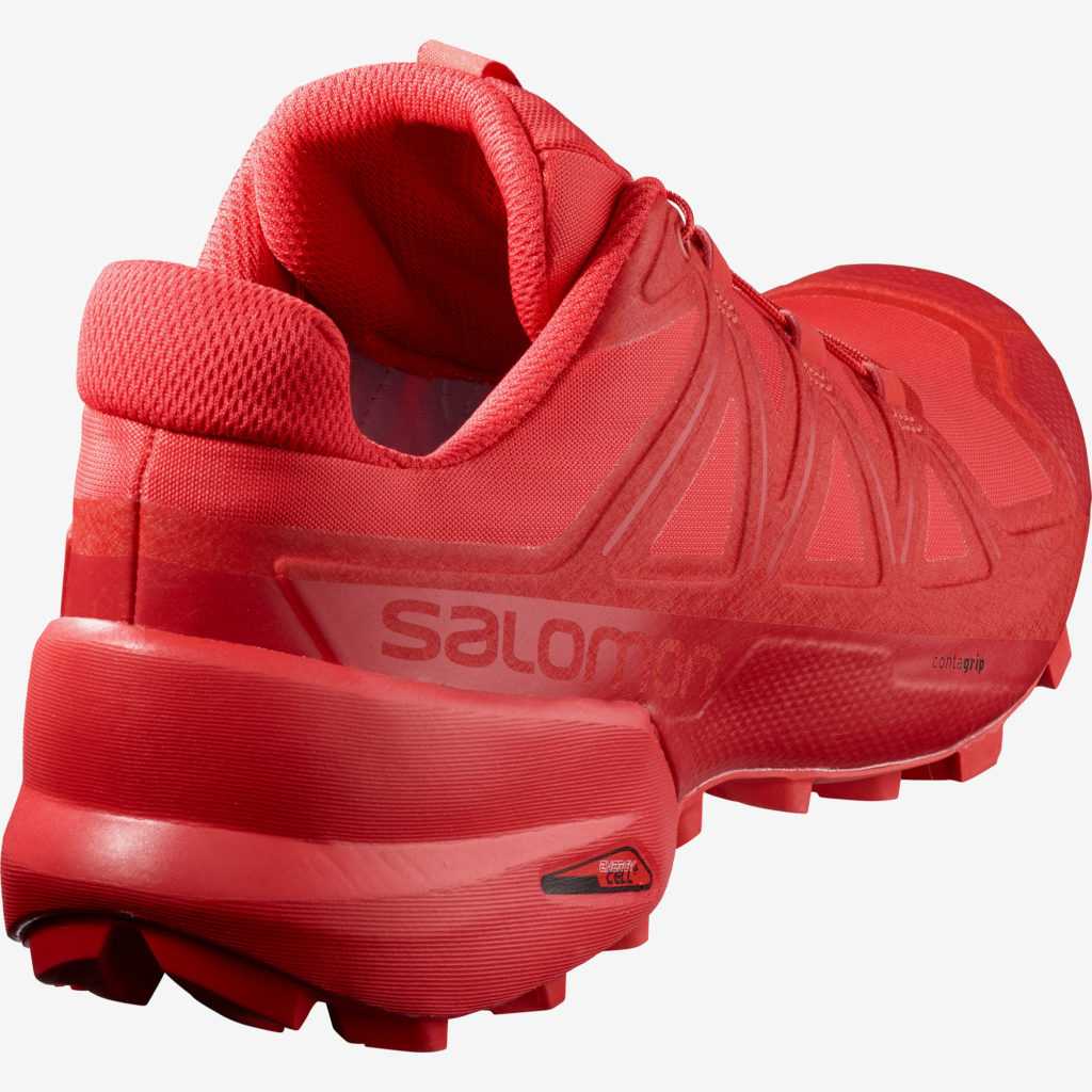 Salomon SpeedCross 5 chaussure droite trois quart arrière