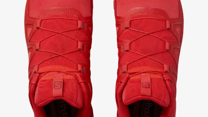 Salomon SpeedCross 5 vue dessus