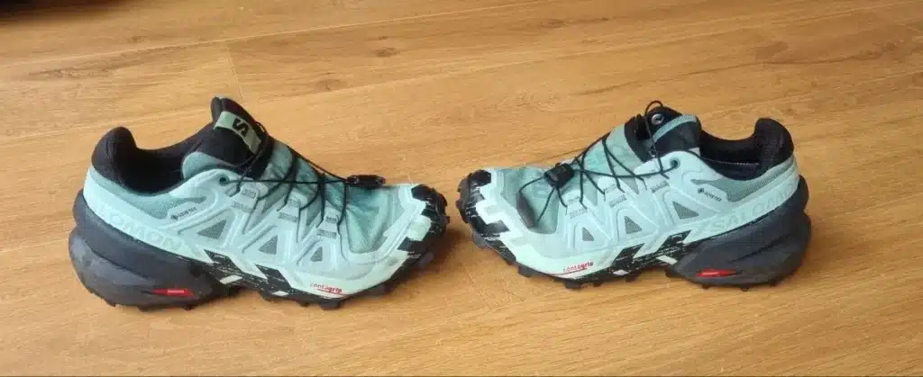 Paire de Salomon SpeedCross 6 GTX vue de profil