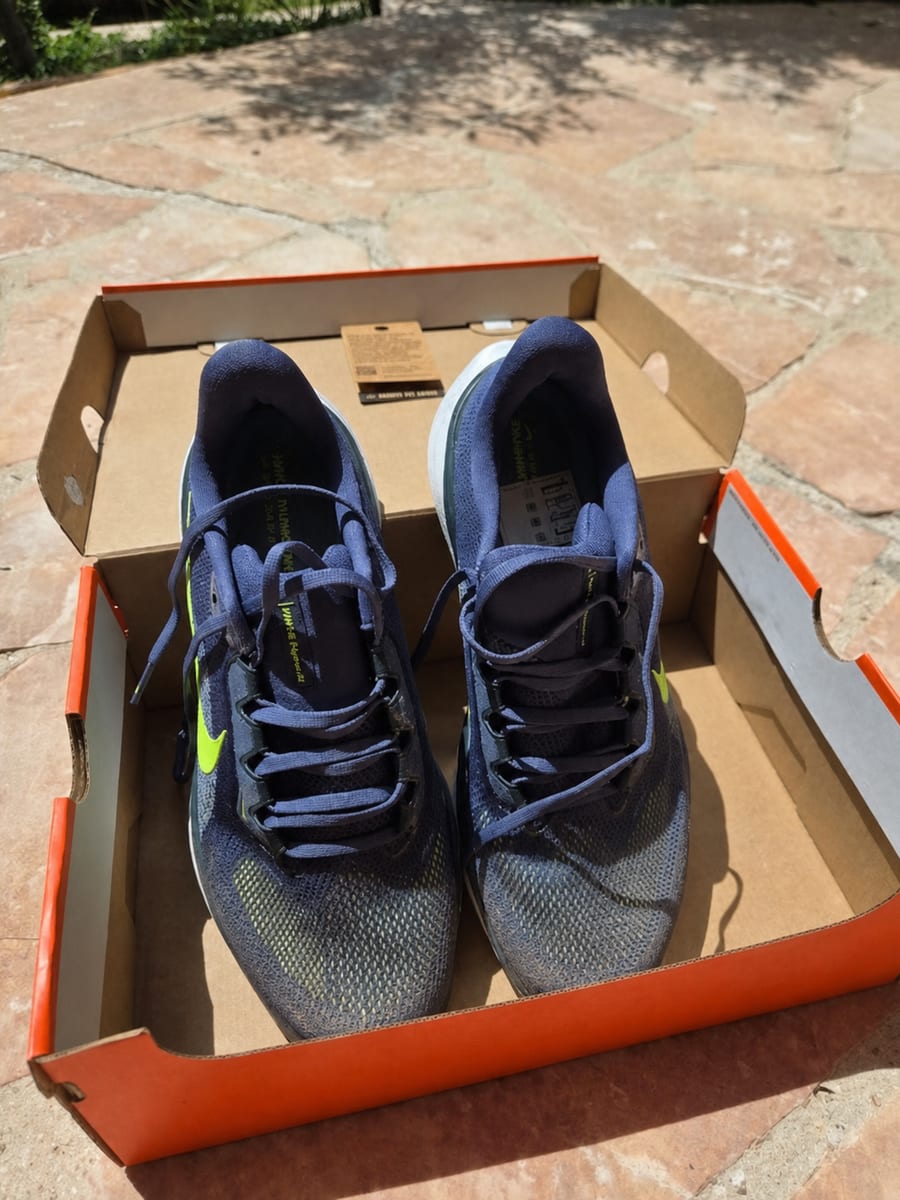 Mesh et laçage de la Nike Pegasus 41 après 500 km