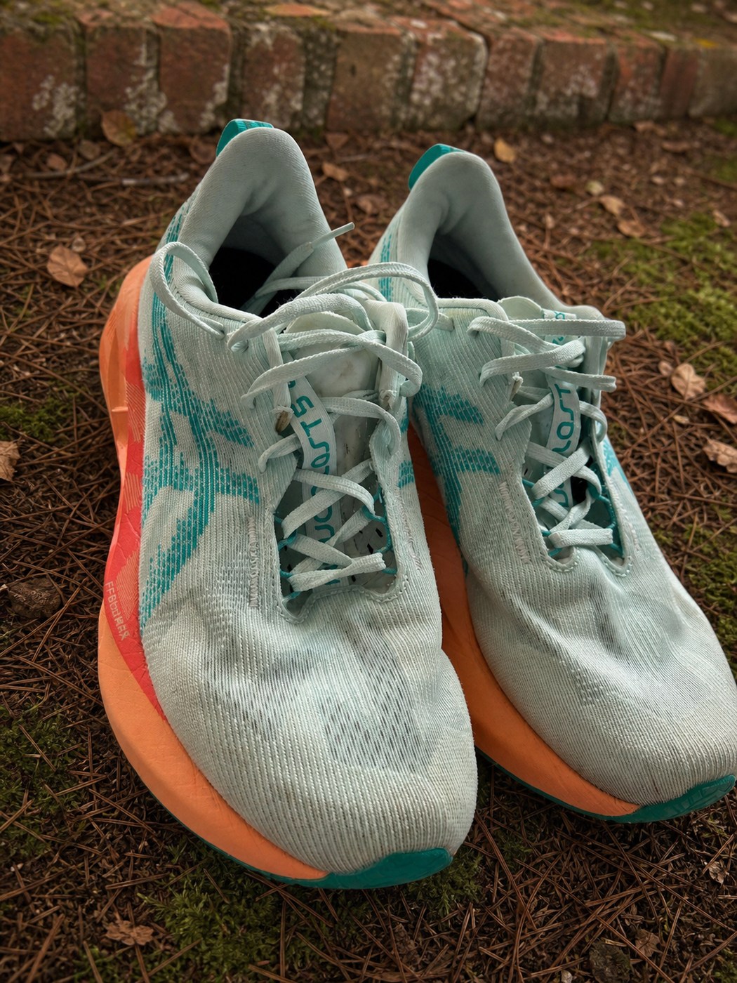 Vue du dessus et laçage de l’ASICS Novablast 5 homme