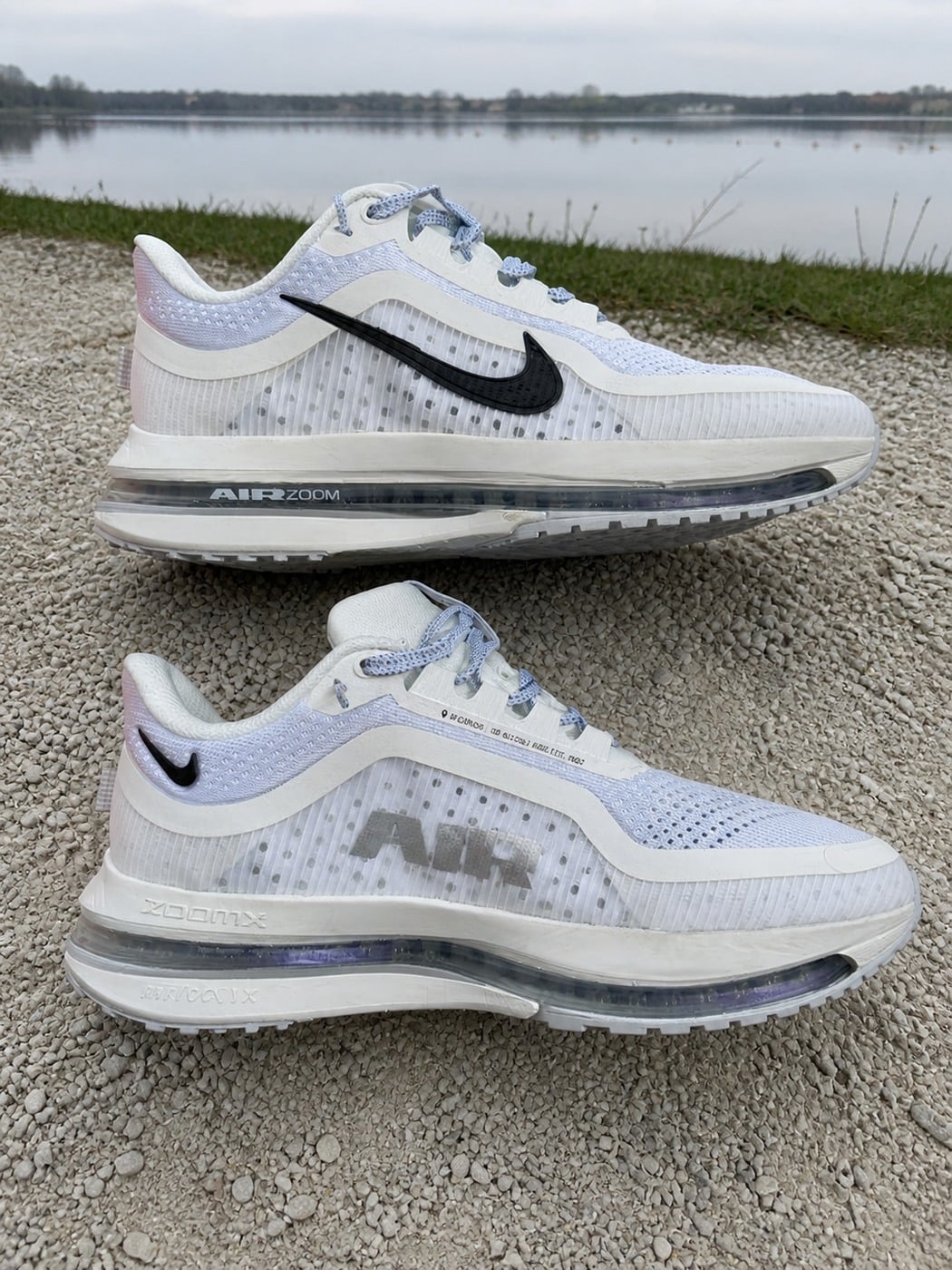 Détail de la Nike Pegasus Premium